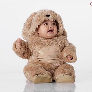 Pottery Barn Dog costume